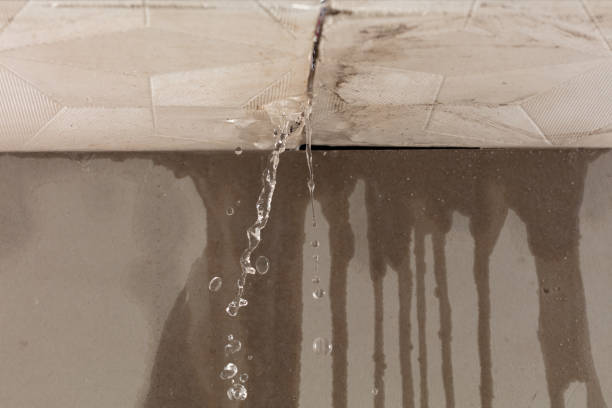 Professional Flood Damage Cleanup technician working in Harvey, IA